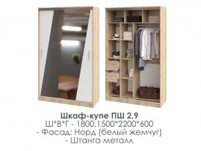 шкаф-купе ПШ-2.9 1500 Норд Белый жемчуг 1500 в Перми - perm.магазин96.com | фото