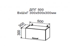 Шкаф верхний ДПГ500 горизонтальный в Перми - perm.магазин96.com | фото