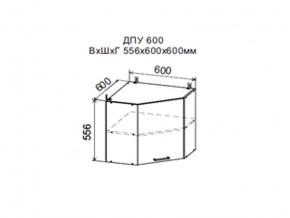 Шкаф верхний ДПУ600 угловой в Перми - perm.магазин96.com | фото